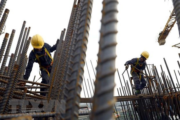 越南钢铁行业有望2024年恢复增长 ảnh 2