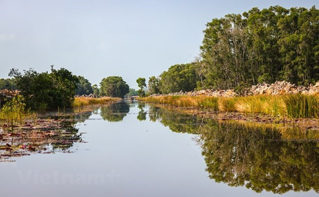 越南努力保护和可持续利用湿地资源 ảnh 1 越南努力保护和可持续利用湿地资源 ảnh 1