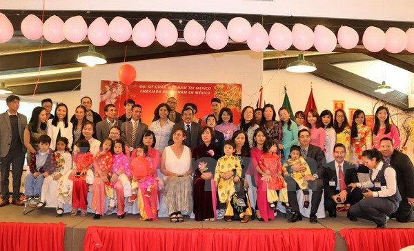 越南驻荷兰大使馆举行2016年新年招待会 ảnh 1 越南驻荷兰大使馆举行2016年新年招待会 ảnh 1