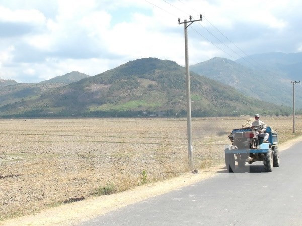 世行对越南应对气候变化和实现绿色增长提供协助 ảnh 1 世行对越南应对气候变化和实现绿色增长提供协助 ảnh 1