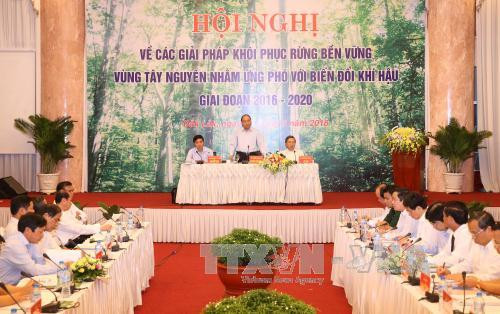 阮春福总理要求明确森林管理与保护工作主体责任 ảnh 1