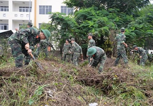 胡志明市正式启动第十次绿色行军志愿活动 ảnh 2 胡志明市正式启动第十次绿色行军志愿活动 ảnh 2