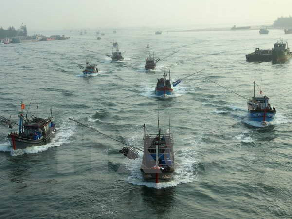 越南政府对外国组织和个人在越南海域开展科研许可证颁发工作做出具体规定 ảnh 1 越南政府对外国组织和个人在越南海域开展科研许可证颁发工作做出具体规定 ảnh 1