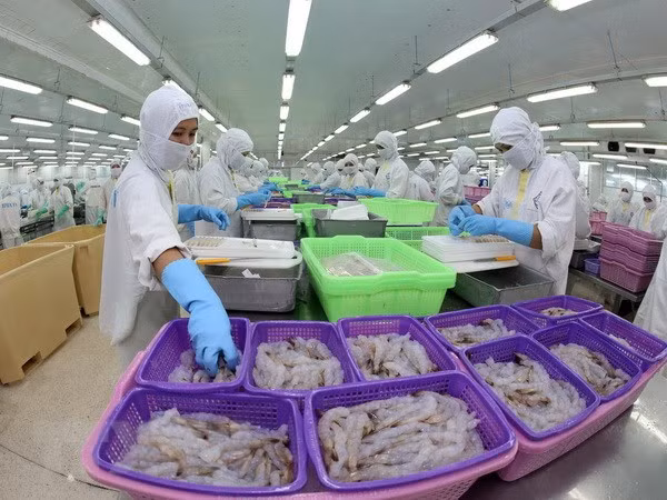 今年前2月水产品出口额增长4.4% ảnh 2