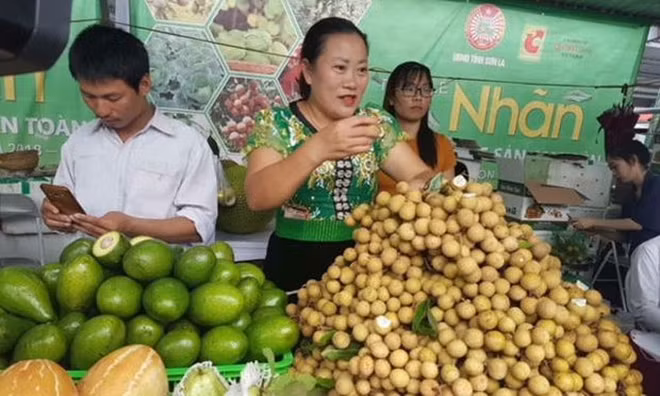 山罗省力争实现2019年农产品出口额达1.5亿美元 ảnh 1