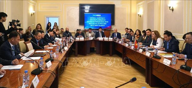 越南与俄罗斯加强中小型企业之间的合作 ảnh 1