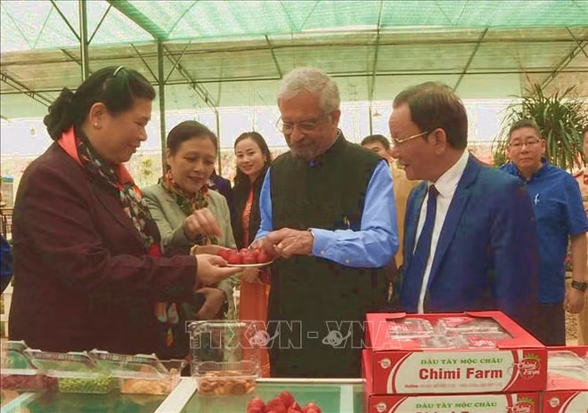 越南国会和联合国考察团赴山罗省考察消除贫困和减贫工作 ảnh 2 越南国会和联合国考察团赴山罗省考察消除贫困和减贫工作 ảnh 2