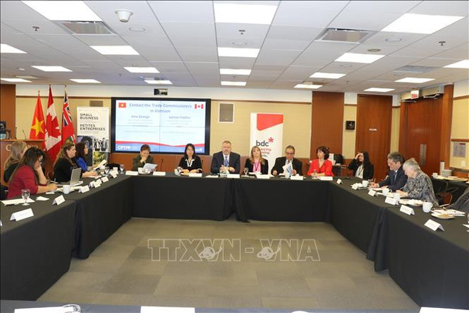 加拿大愿帮助该国企业促进与越南的贸易交流 ảnh 1