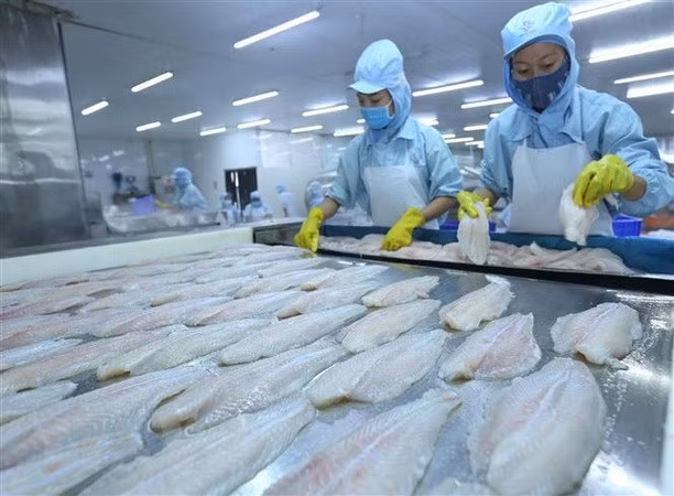 2019年越南努力保持查鱼出口增长态势 ảnh 1