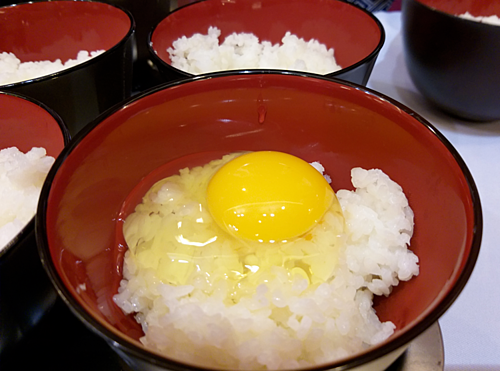 首次向市场供应新鲜即食鸡蛋 ảnh 1 首次向市场供应新鲜即食鸡蛋 ảnh 1