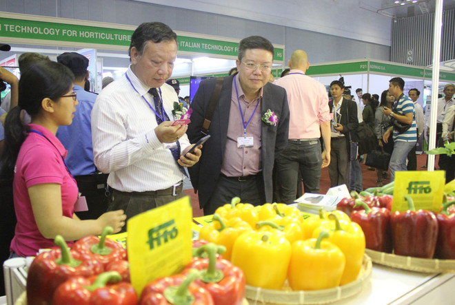 2019越南国际果蔬及花卉园艺展览会开幕 ảnh 3
