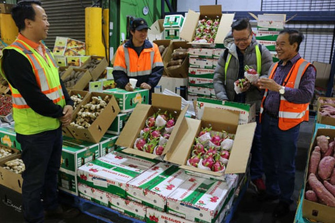 越南多措并举推动蔬果行业高质量发展 ảnh 1 越南多措并举推动蔬果行业高质量发展 ảnh 1