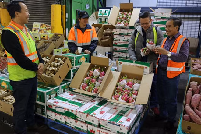 越南多措并举推动蔬果行业高质量发展 ảnh 1