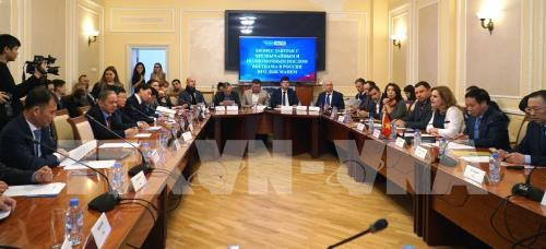 越俄双方进出口和投资合作潜力仍有待挖掘 ảnh 1