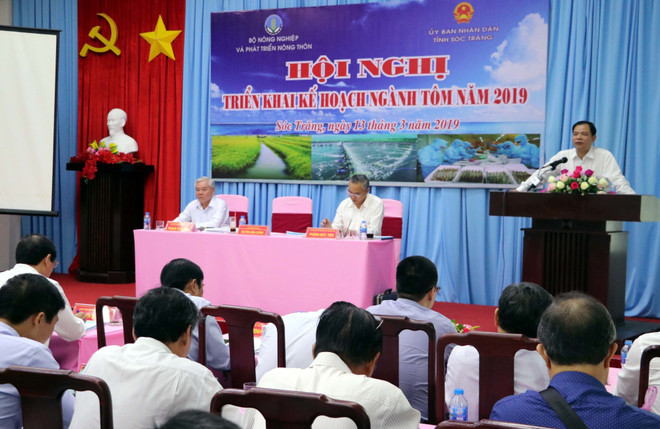 继续推动虾产业重组 为虾类产品塑造品牌 ảnh 2