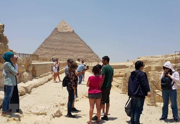 埃及安全动荡及非洲猪瘟疫肆虐 越南旅游总局向出境游组团社提出警示 ảnh 1 埃及安全动荡及非洲猪瘟疫肆虐 越南旅游总局向出境游组团社提出警示 ảnh 1