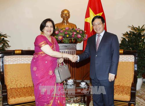 越印第九次副外长级政治磋商暨第六次战略对话在河内召开 ảnh 2 越印第九次副外长级政治磋商暨第六次战略对话在河内召开 ảnh 2