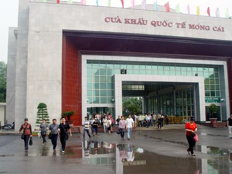 中国加大对越南农产品的进口力度 ảnh 1