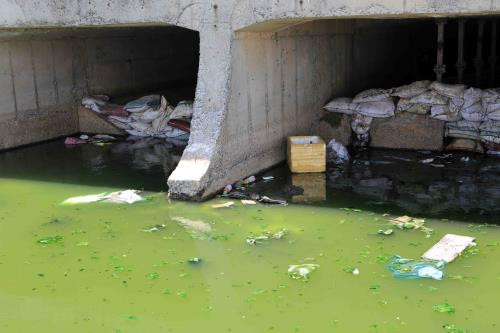 越南政府总理批准关于履行《斯德哥尔摩公约》的国家实施计划 ảnh 1