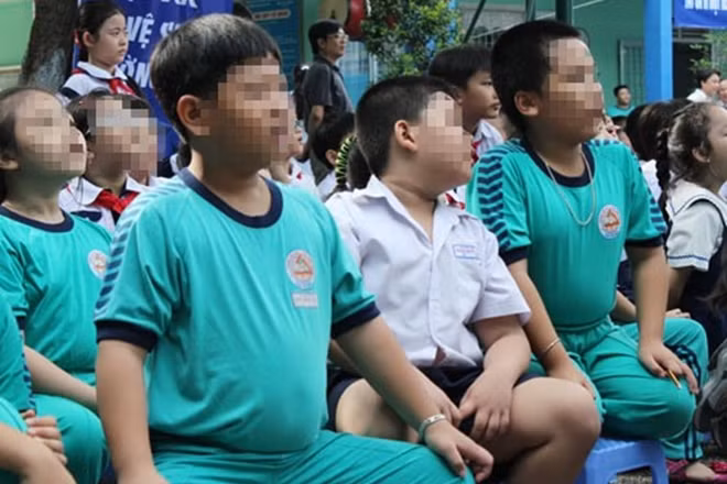 越南各大城市儿童肥胖人数剧增 ảnh 1