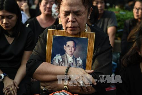 国家副主席邓氏玉盛代表越南出席已故泰国国王普密蓬·阿杜耶德葬礼 ảnh 1