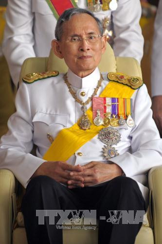 国家副主席邓氏玉盛代表越南出席已故泰国国王普密蓬·阿杜耶德葬礼 ảnh 2