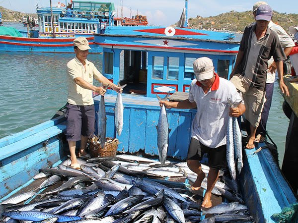 越南将竭尽全力克服遭欧盟IUU黄牌警告问题 ảnh 1