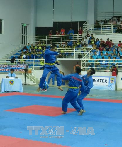 第25届全国越武道锦标赛开幕 ảnh 1