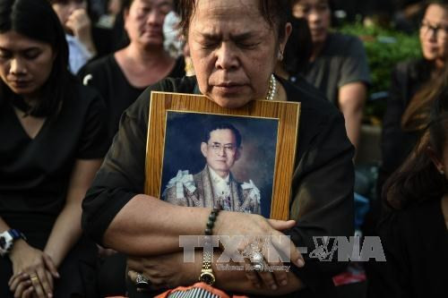 越通社简讯2017.10.25 ảnh 1