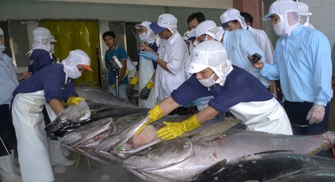 越南严格执行水产品进口国的规定 ảnh 1 越南严格执行水产品进口国的规定 ảnh 1