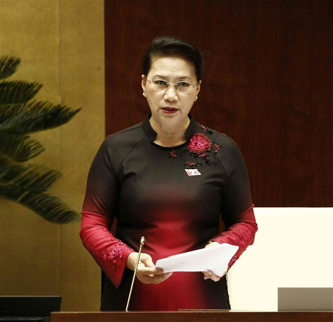 推动接触选民活动 解决选民提出的建议 ảnh 1