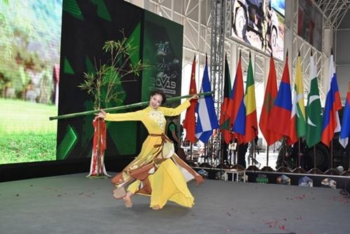 越南独特文化亮相2019年国际军事比赛 ảnh 2