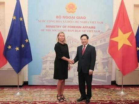 越通社一周要闻回顾(2019.8.5-2019.8.11) ảnh 3 越通社一周要闻回顾(2019.8.5-2019.8.11) ảnh 3