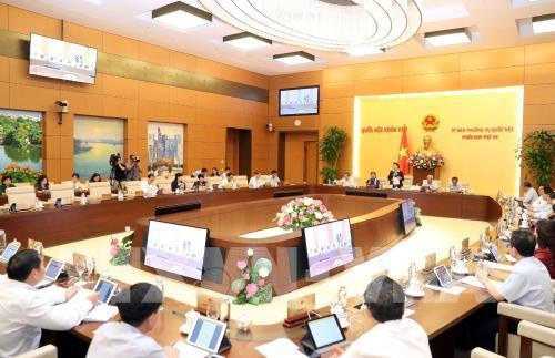 15位部长和部门首长在国会常委会第36次会议上回答国会代表询问 ảnh 1