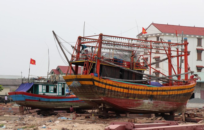 为渔民提供协助 坚持靠海谋生 维护海洋岛屿主权 ảnh 2