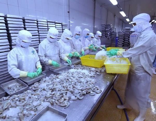 2019年Vietfish:越南与世界企业家进行合作的桥梁 ảnh 1 2019年Vietfish:越南与世界企业家进行合作的桥梁 ảnh 1