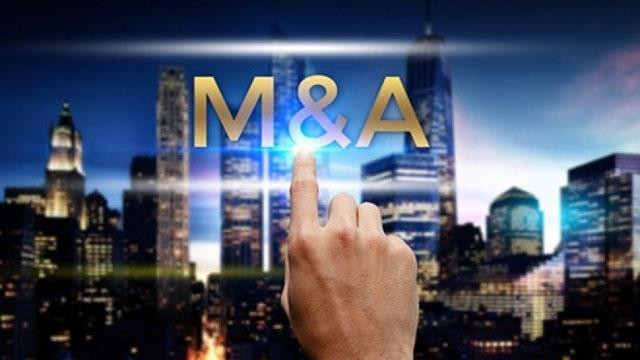 越南并购市场等待大规模交易活动 ảnh 1 越南并购市场等待大规模交易活动 ảnh 1