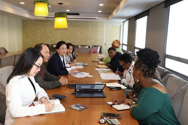 越南与南非加强合作 致力于妇女的发展 ảnh 1