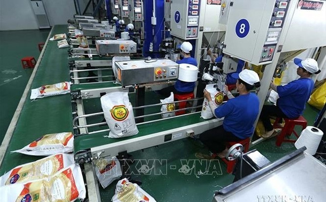 越南可以在任何情况下确保粮食安全 ảnh 1 越南可以在任何情况下确保粮食安全 ảnh 1