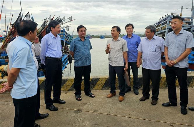 黎明欢部长视察富安省打击IUU捕捞和灾害防治工作 ảnh 1 黎明欢部长视察富安省打击IUU捕捞和灾害防治工作 ảnh 1