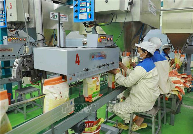 越南大米出口价格呈上涨势头 ảnh 1 越南大米出口价格呈上涨势头 ảnh 1