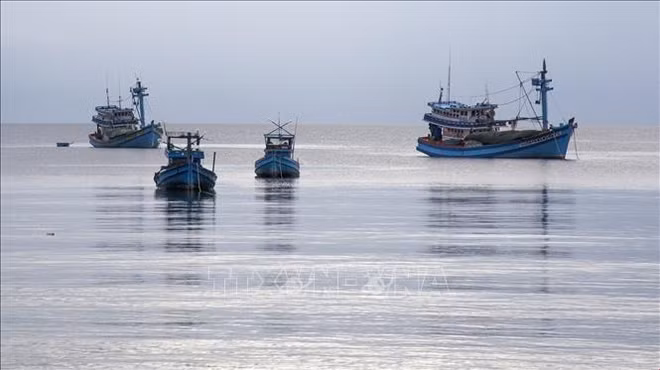 解除IUU“黄牌”：坚江省所有渔船均安装巡航监控设备 ảnh 1