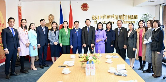 胡志明市与新西兰惠灵顿加强智慧城市建设合作 ảnh 2