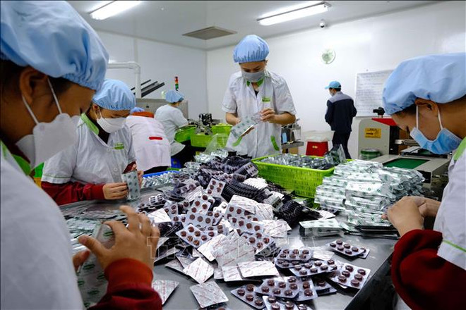 《越南国家医药行业发展战略》获批 ảnh 2 《越南国家医药行业发展战略》获批 ảnh 2