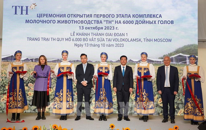 TH集团设在俄罗斯莫斯科省的奶牛场第一期工程正式落成 ảnh 1