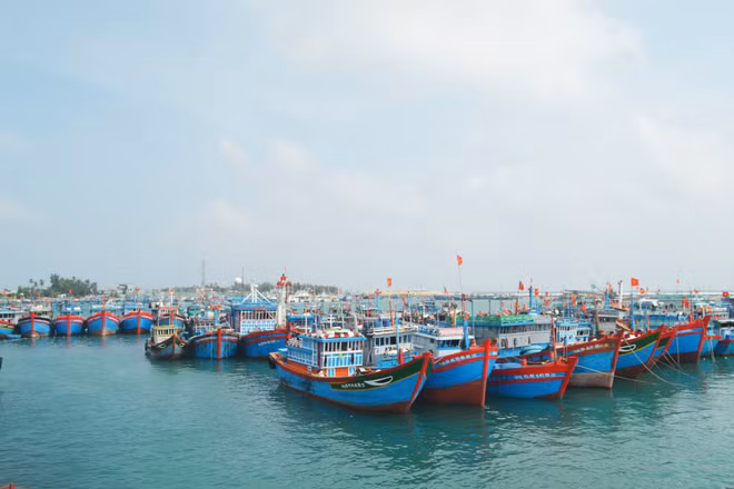 解除IUU“黄牌”警告：加强宣传力度 对渔船严格管理 ảnh 1