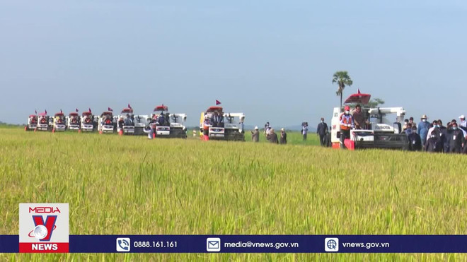 2021年前4个月柬埔寨农产品出口额突破20亿美元 ảnh 1