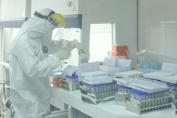 新冠肺炎疫情:卫生部要求对各集群感染病例的样本进行基因测序 ảnh 1 新冠肺炎疫情:卫生部要求对各集群感染病例的样本进行基因测序 ảnh 1