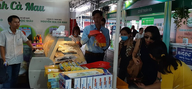 胡志明市和南部地区开展合作 ảnh 1 胡志明市和南部地区开展合作 ảnh 1