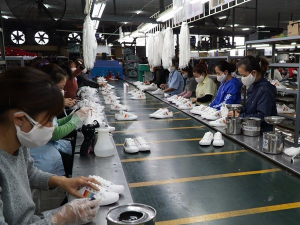 越南与智利的自由贸易协定为促进双方贸易增长注入动力 ảnh 1 越南与智利的自由贸易协定为促进双方贸易增长注入动力 ảnh 1